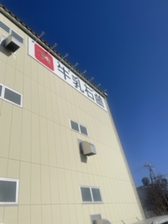 おはようございます☀️